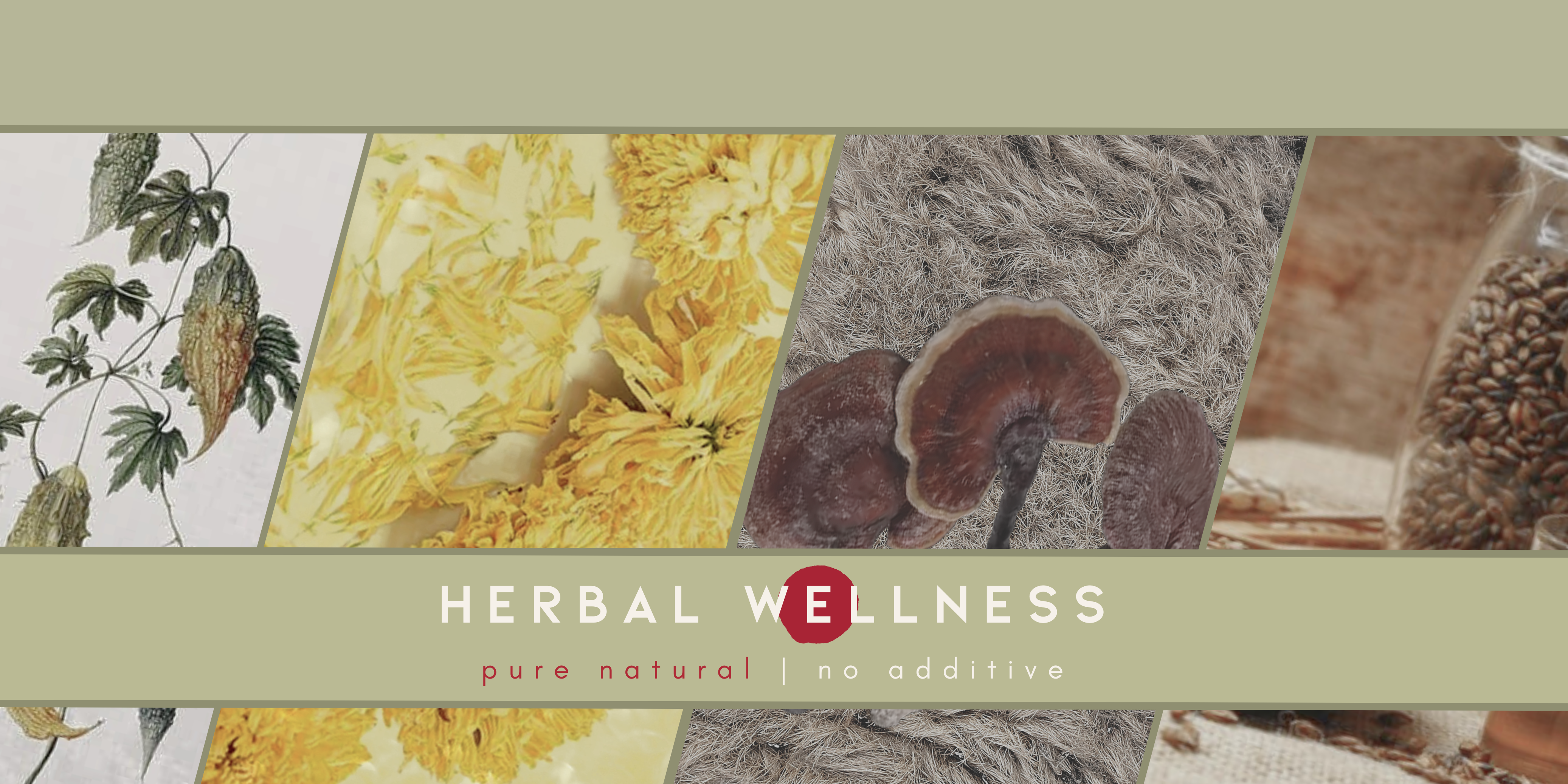 Herbal banner displaying different flavors of tea